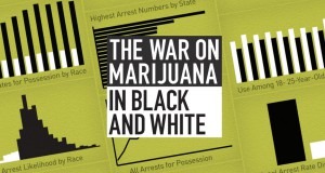 The $3 billion rathole that is the war on marijuana