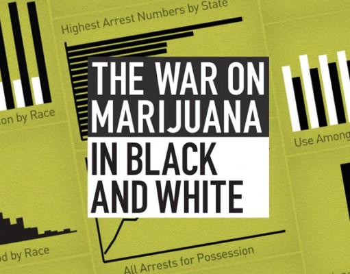 The $3 billion rathole that is the war on marijuana