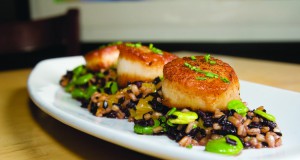 The tastes of Provence and beyond