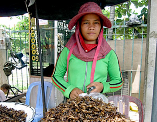 Squashing the stigma of eating bugs
