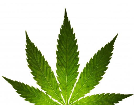 Pot by the numbers: 50 ways to look at marijuana
