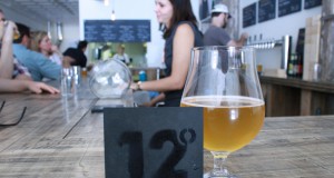 Yeast on Main Street