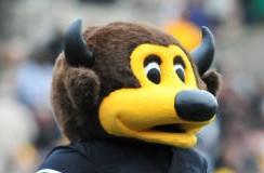 In case you missed it | Shocker: CU likes its new coach, AD