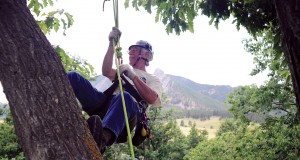 At home in the trees