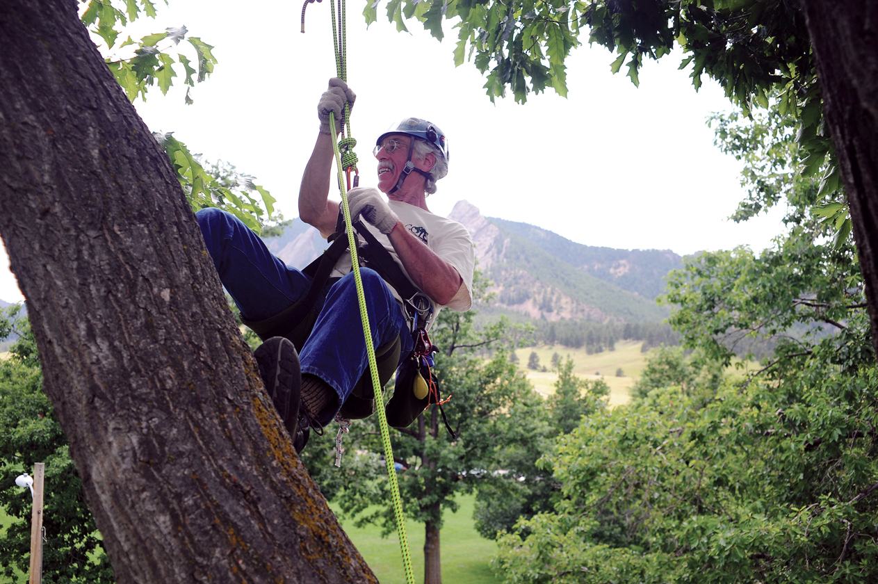 At home in the trees
