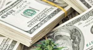 Cannabis is legal. Where and when will we be able to buy it in Boulder?