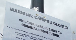 In case you missed it | Hippie haven