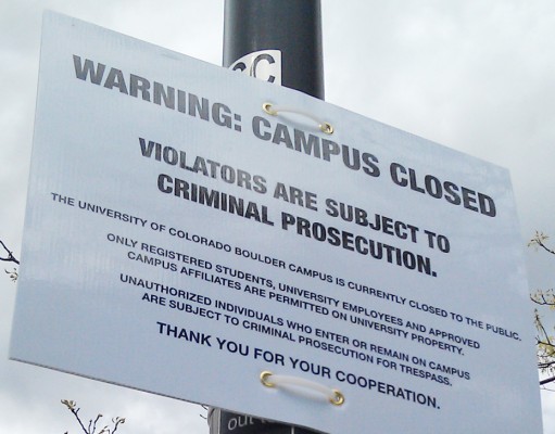 In case you missed it | Hippie haven