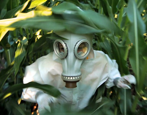 Eco-briefs | GMO documentary to screen at eTown Hall