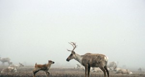 Upcoming Events | Week of August 22, 2013