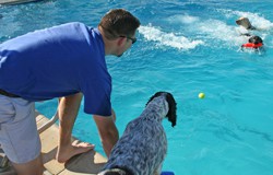 Upcoming Events | Week of August 29, 2013