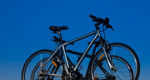 Bicycle to rider: Don’t treat me like Mitt treated his dog