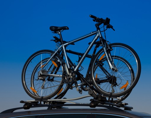 Bicycle to rider: Don’t treat me like Mitt treated his dog