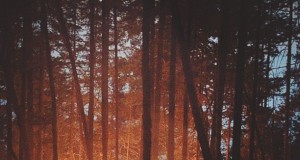 With Windows Shut Tight