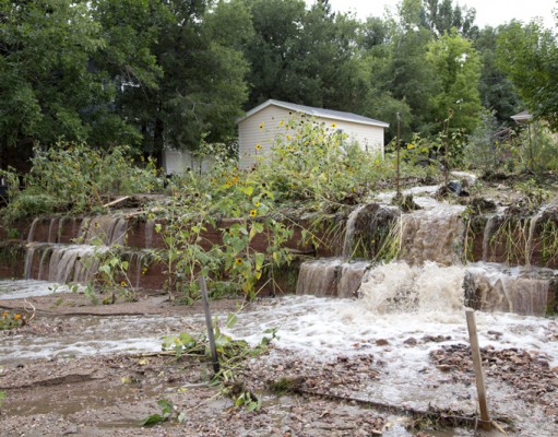 Washing away a harvest: Contamination ruins Boulder County crops