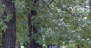 Boulder homeless turned away at Red Cross shelter