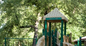 Mental health could take a toll, particularly for children, after Boulder County flood