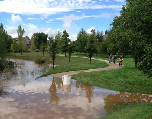The flood and the faces that matter