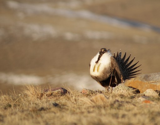 Eco-briefs | Week of September 26, 2013