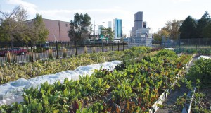 Superefficient housing competition