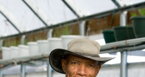 Falling in love with food