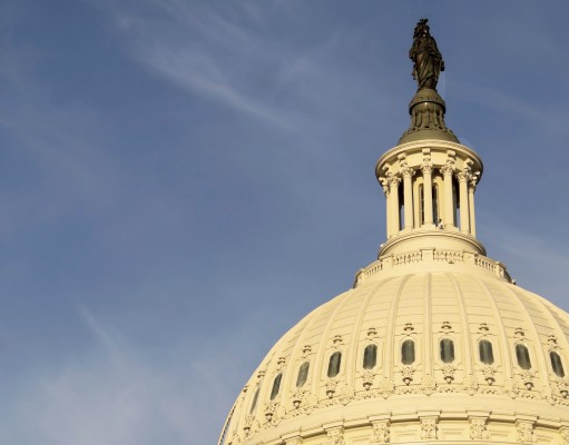 Could the plague bring reform to Congress?