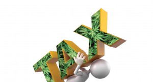 Cannabis taxes a vexing decision