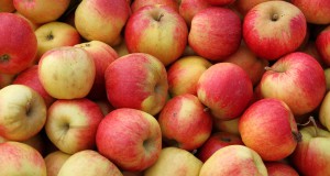 Washington will decide whether to label GMO food