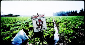 Women living near pesticide-treated fields have smaller babies