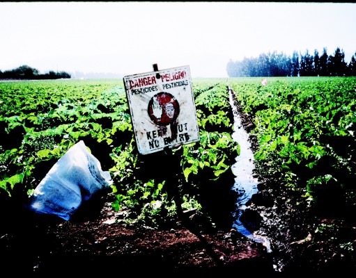 Women living near pesticide-treated fields have smaller babies