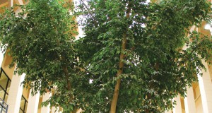 Best of Boulder East County 2013: Health & Fitness