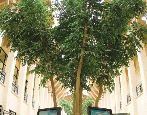 Best of Boulder East County 2013: Health & Fitness