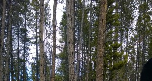 Copper, Keystone to open Nov. 1