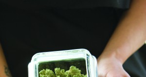 Essential weed reads