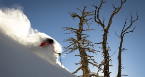 Upcoming Events | Week of November 7, 2013