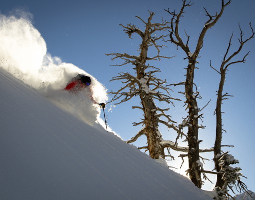 Upcoming Events | Week of November 7, 2013