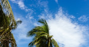 In Philippines, massive devastation after typhoon