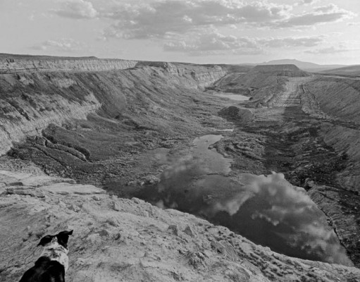An artist reframed: Painter Chuck Forsman finally exhibits his photography