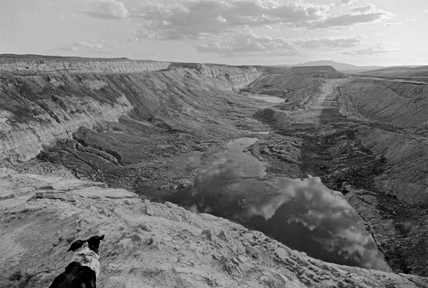 An artist reframed: Painter Chuck Forsman finally exhibits his photography