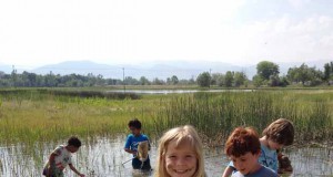 An evolving education model