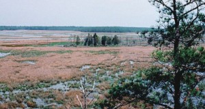 Eco-briefs | A drier coastline