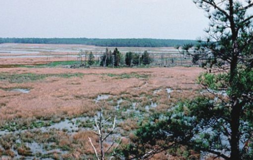 Eco-briefs | A drier coastline