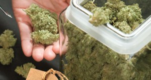 Will Colorado’s Pot Supply Be Able to Meet Demand?