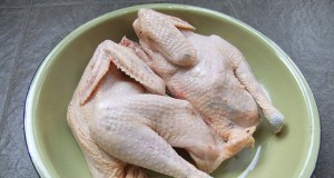 Study Finds Most U.S. Chicken Contaminated