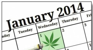 Colorado pot legalization is almost upon us