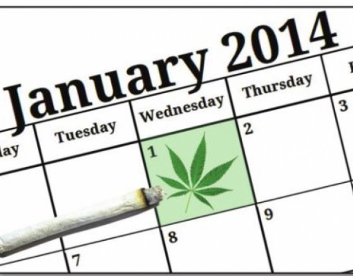 Colorado pot legalization is almost upon us