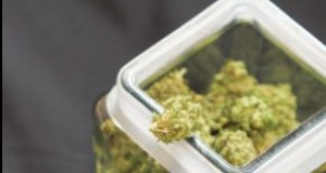 In case you missed it | POT AND DRONES