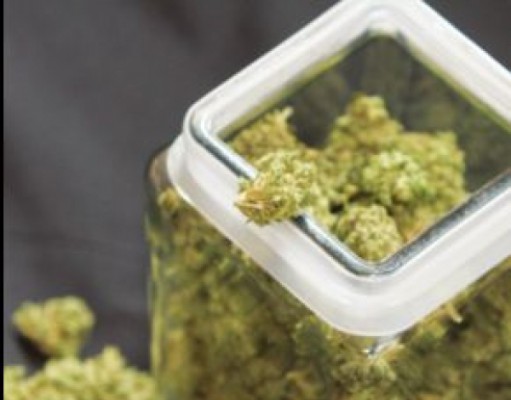 In case you missed it | POT AND DRONES