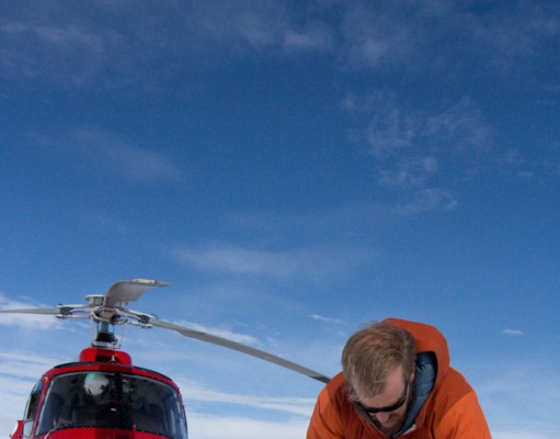 A darker shade of snow