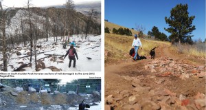 On the trail to recovery